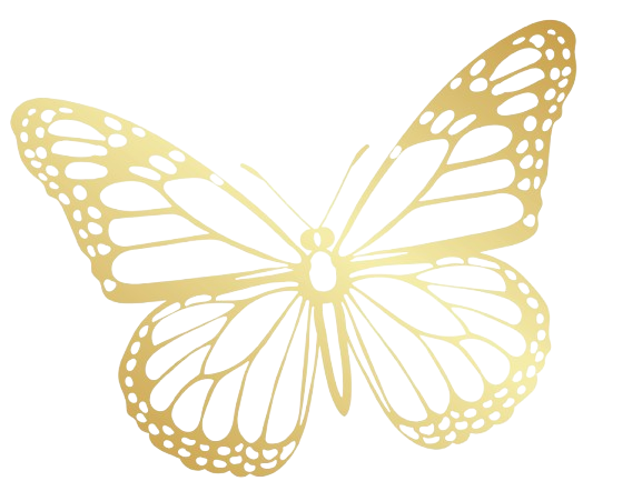 borboleta capa vanessa marketing sem fundo